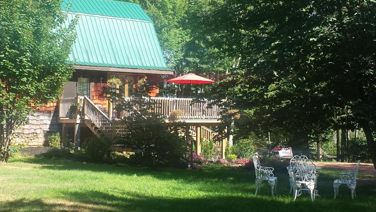 Hunter River Chestnut Lane Bed And Breakfast المظهر الخارجي الصورة